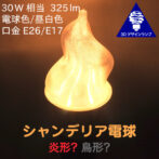 炎形? 鳥形? 3D デザイン電球