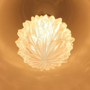 周囲がうつるように撮影したトロピカルフルーツ形の 3D デザイン電球