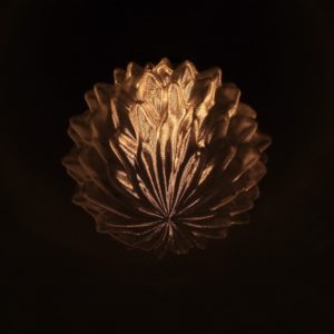 電球の明暗ができるだけ正確にうつるように撮影したトロピカルフルーツ形の 3D デザイン電球