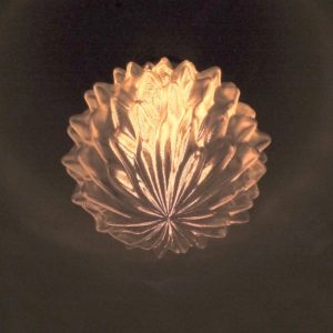 ガンマカーブを調整して周囲もある程度みえるようにしたトロピカルフルーツ形の 3D デザイン電球