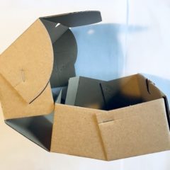 直径 10cm までの電球は DVD 用の箱で郵送