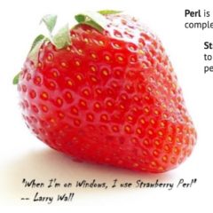 ラベル印刷プログラムなどに使用している Strawberry Perl
