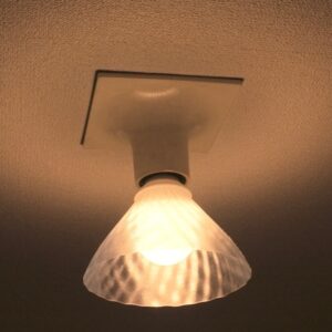 電球カバー 3Dデザインシェード